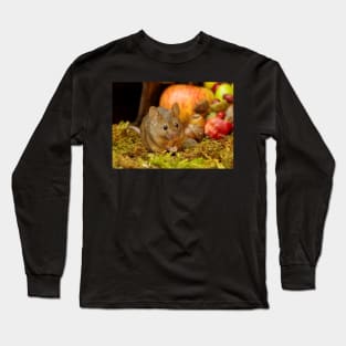 wild house mouse  with apples Long Sleeve T-Shirt